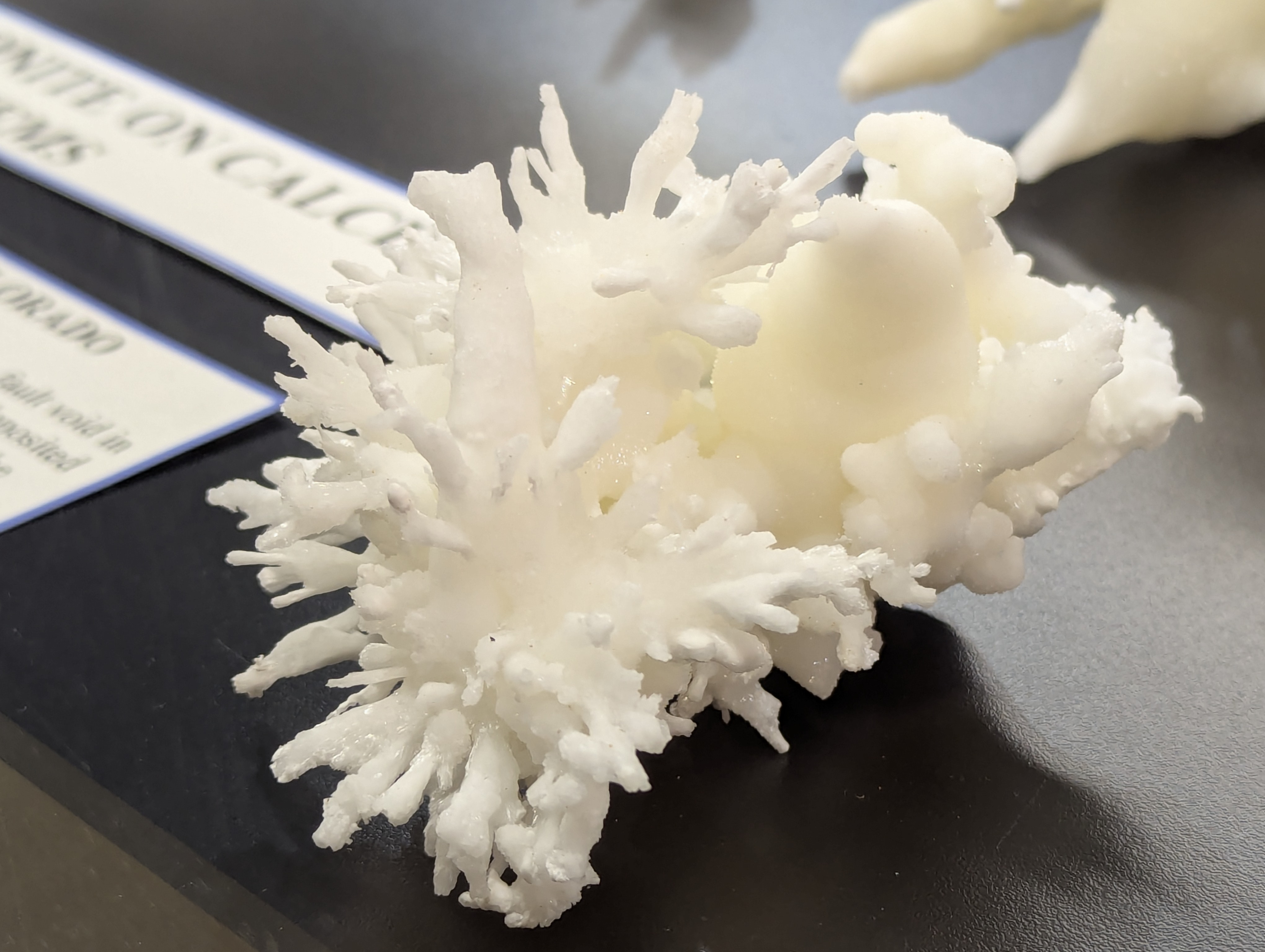 Colorado School of Mines, Geology Museum